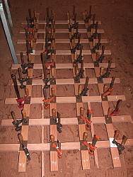 231.jpg